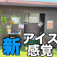 画像1181