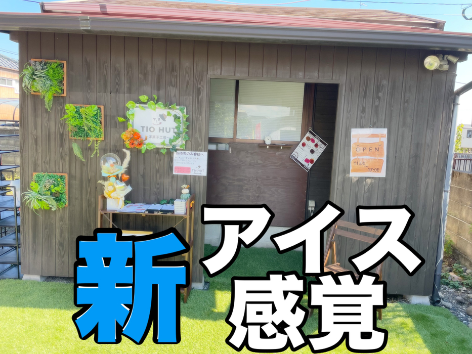 画像1181
