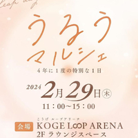画像702